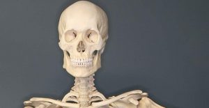 Fiskare fick upp ett mänskligt skelett i Väddö kanal