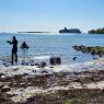Världsnaturfonden initierar innovativt klimatprojekt i Norrtälje – ett steg framåt för kustlinjens skydd
