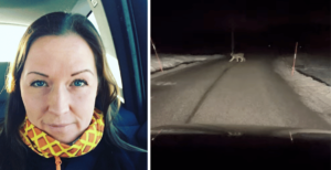 Lodjuret jagar en rådjursflock utanför Norrtälje – vittnet Malin: “Den verkade inte speciellt skygg”